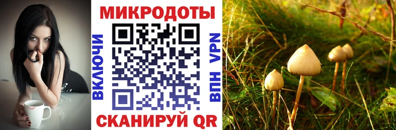Псилоцибиновые грибы GOLDEN TEACHER  мориарти какой сайт  Россошь  магазин продажи наркотиков 