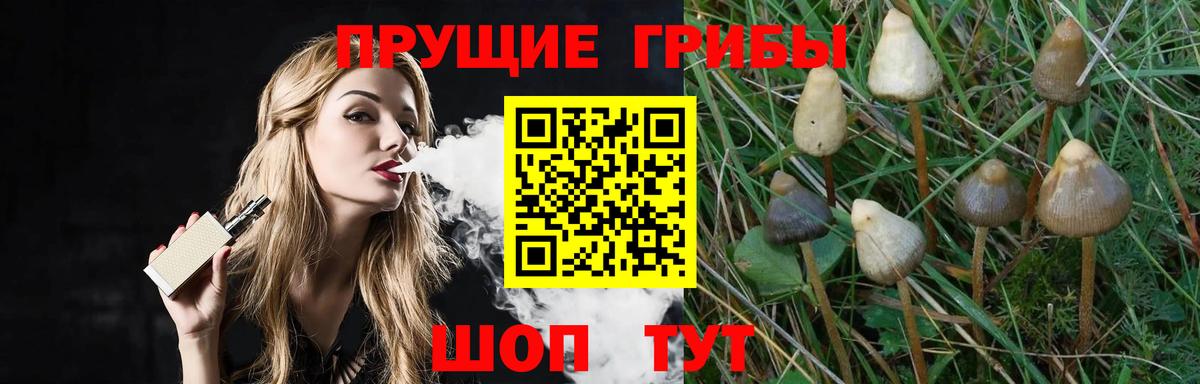 купить наркотик  Галлюциногенные грибы Psilocybe  Вход с VPN  Галлюциногенные грибы ЛСД  Россошь 